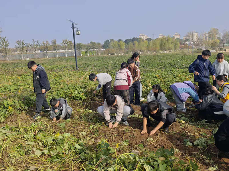 秋日研學(xué)正當(dāng)時(shí)：解鎖孩子的綜合成長(zhǎng)密碼